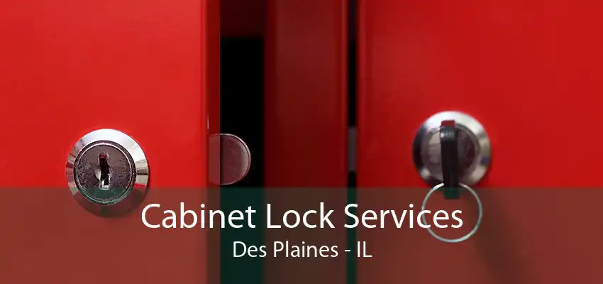 Cabinet Lock Services Des Plaines - IL