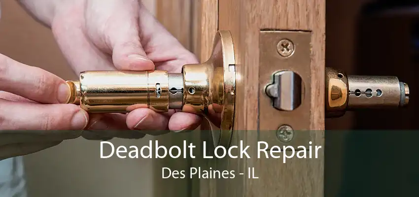 Deadbolt Lock Repair Des Plaines - IL